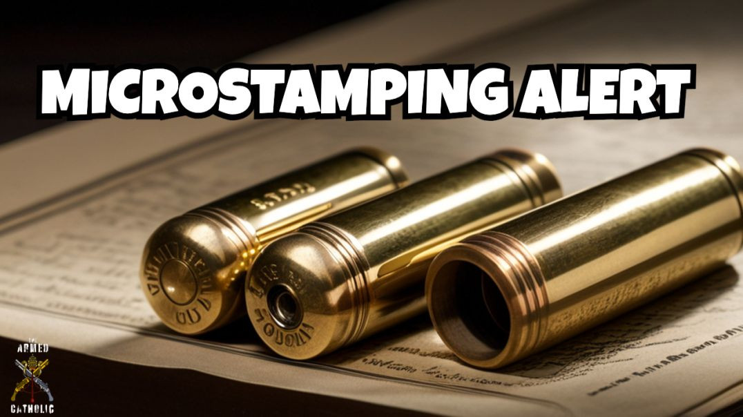 ⁣Warning Signs: NJ AG's Move on State's Microstamping Law
