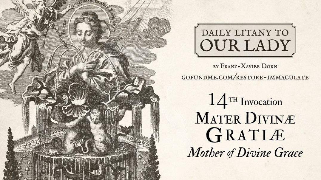 ⁣Daily Litany to Our Lady: Day 14: Mater Divinae Gratiae - Mother of Divine Grace