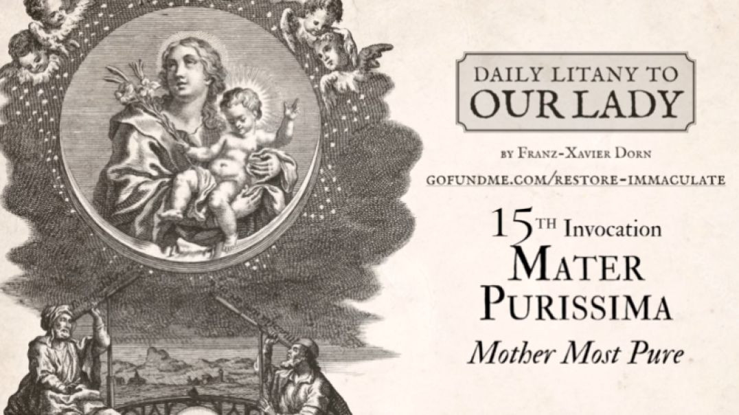 ⁣Daily Litany to Our Lady: Day 15: Mater Purissima - Mother Most Pure