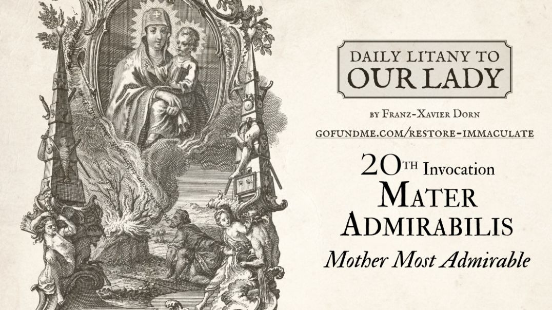 ⁣Daily Litany to Our Lady: 20th Day:  Mater Admirabilis - Mother Most Admirable
