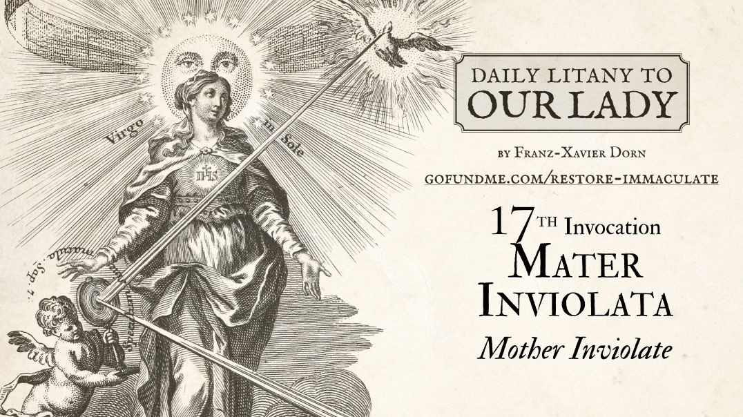 ⁣Daily Litany to Our Lady: Day 17: Mater Inviolata - Mother Inviolate
