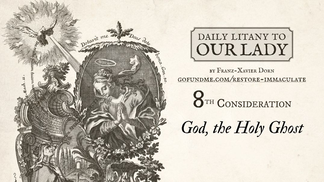 ⁣Daily Litany to Our Lady: Day 8: God, the Holy Ghost