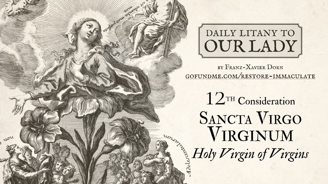 ⁣Daily Litany to Our Lady: Day 12: Sancta Virgo Virginum - Holy Virgin of Virgins