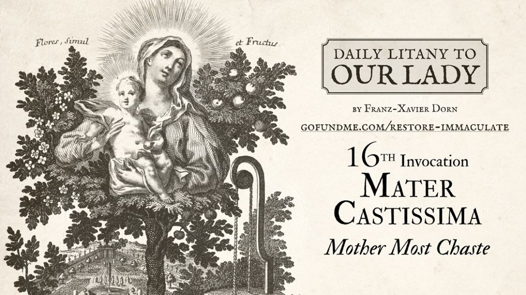 ⁣Daily Litany to Our Lady: Day 16: Mater Castissima - Mother Most Chaste