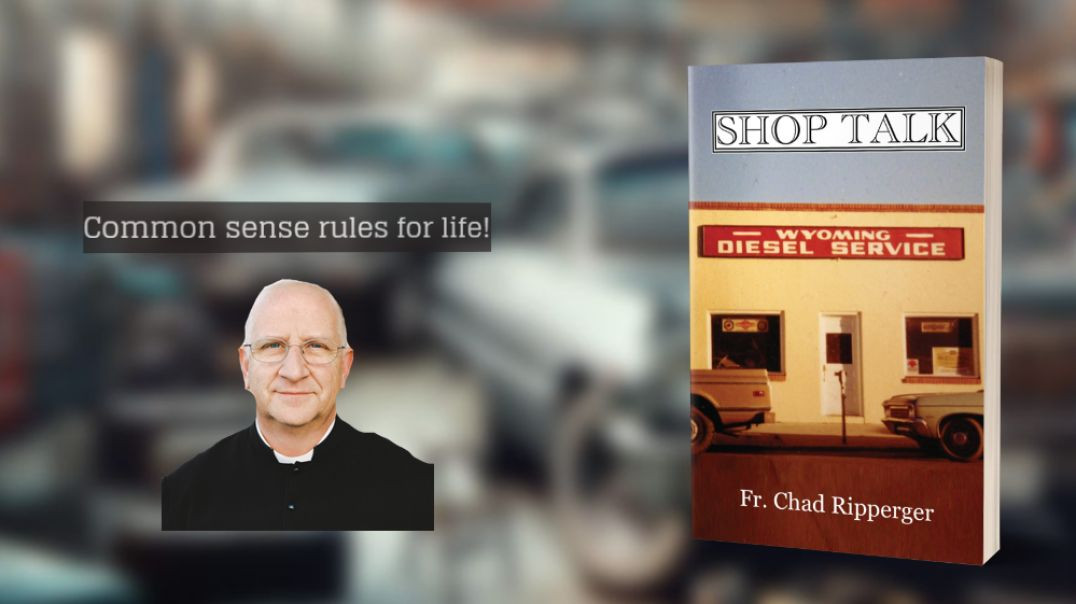⁣Book Review: Shop Talk w/ Fr. Ripperger