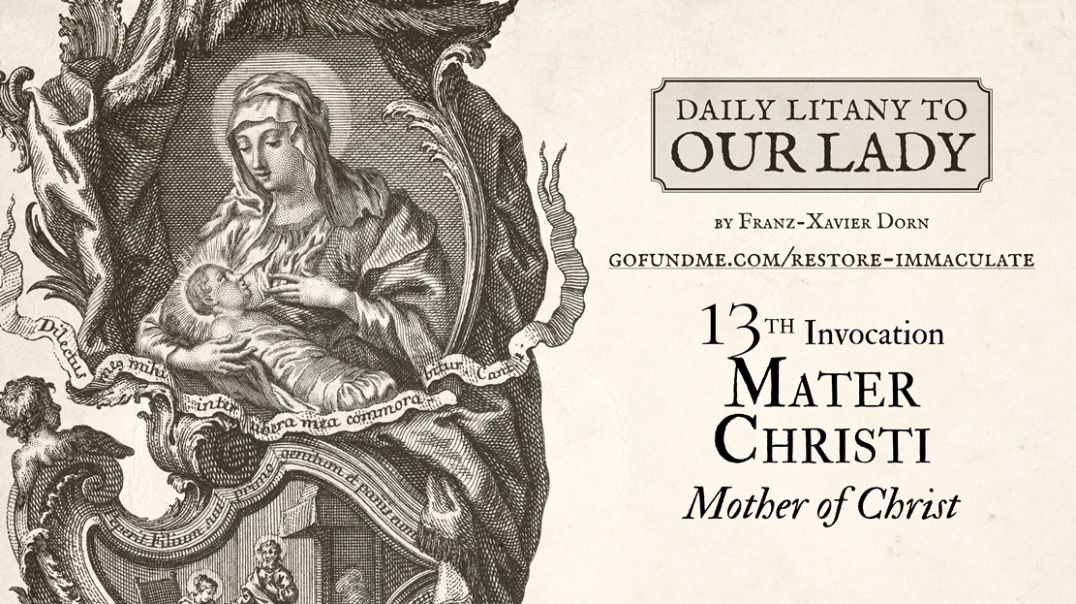 ⁣Daily Litany to Our Lady: Day 13: Mater Christi - Mother of Christ
