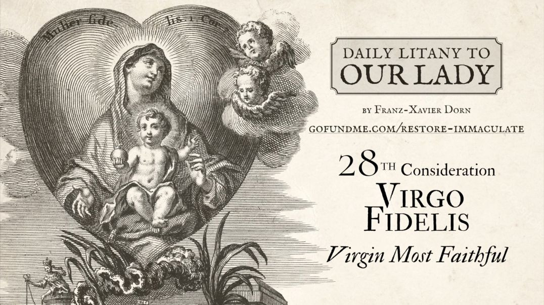 ⁣Daily Litany to Our Lady: Day 28: Virgo Fidelis - Virgin Most Faithful
