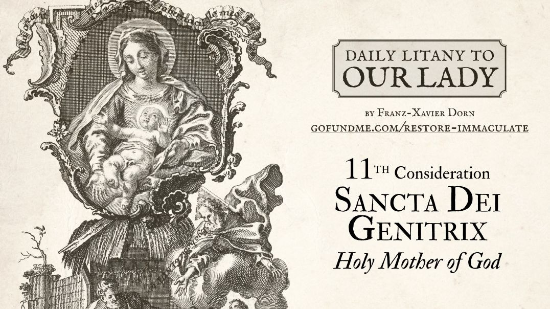 ⁣Daily Litany to Our Lady: Day 11: Santa Dei Genitrix - Holy Mother of God