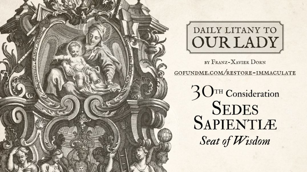 ⁣Daily Litany to Our Lady: Day 30: Sedes Sapientiae - Seat of Wisdom