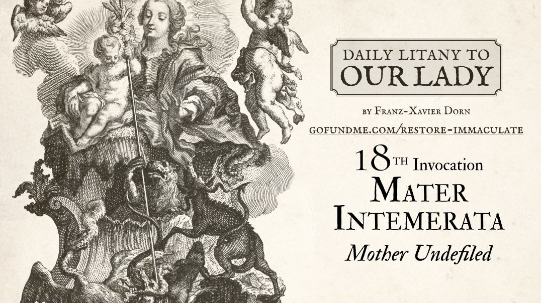 ⁣Daily Litany to Our Lady: Day 18: Mater Intemerata - Mother Undefiled