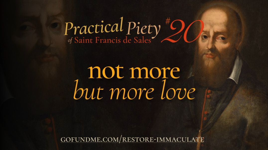 ⁣Practical Piety of St. Francis de Sales: Chapter 20: Not More but More Love