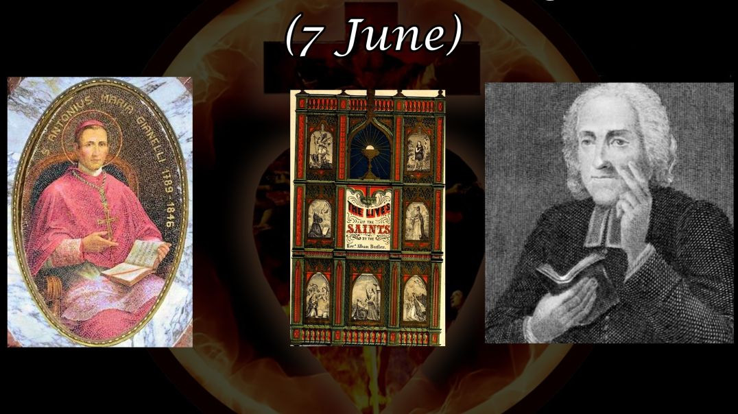 ⁣Saint Antonio María Gianelli (7 June): Butler's Lives of the Saints
