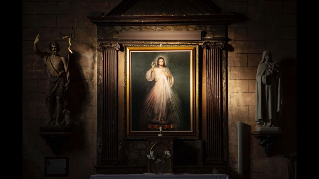 ⁣Christ High Priest In The Divine Mercy Image