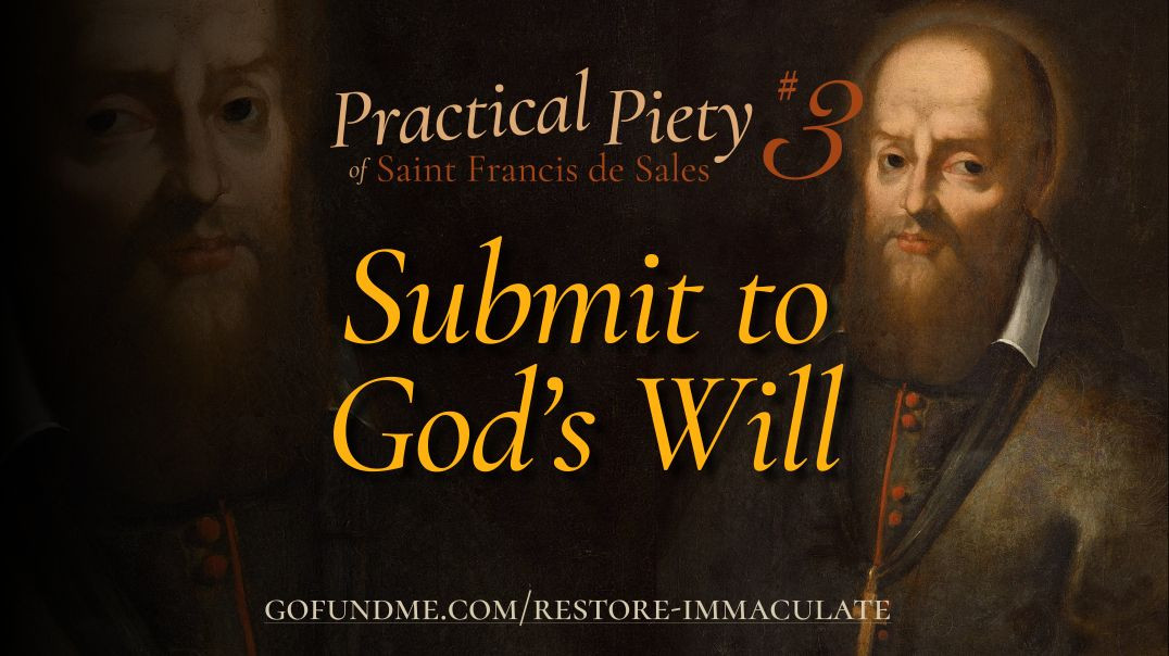 ⁣Thr Practical Piety of St. Francis de Sales: Chapter 3: Submit to God's Will