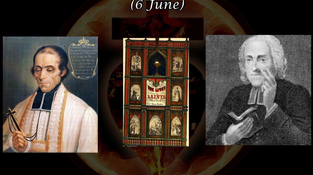 ⁣Blessed Marcelino José Benito Champagnat (6 June): Butler's Lives of the Saints