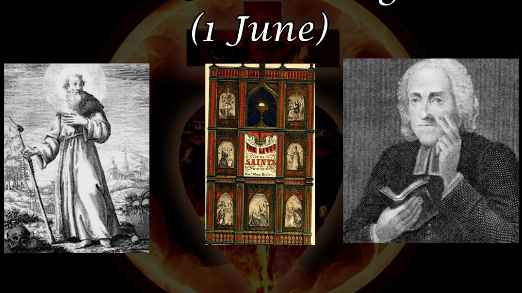 ⁣Blessed John Pelingotto (1 June): Butler's Lives of the Saints