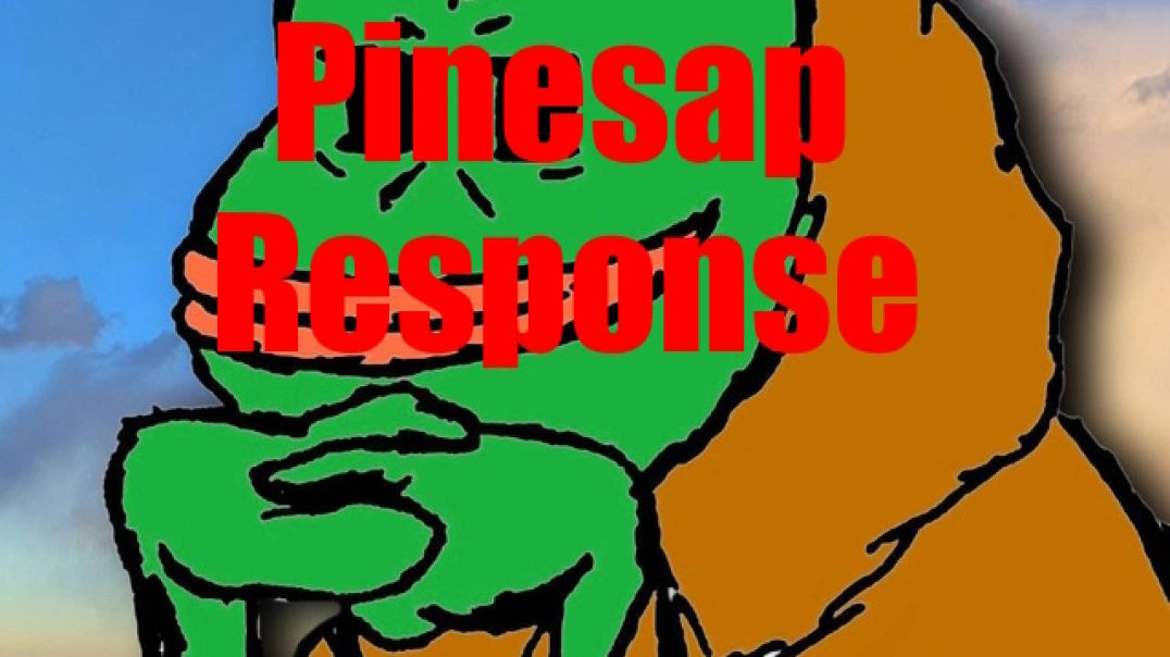 ⁣Pinesap Response Video