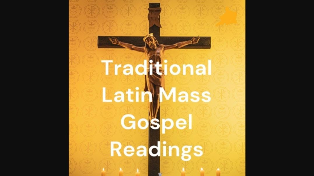 ⁣Gospel 8-11-24.  Gospel:  Luke 10:23-37.  Twelfth Sunday after Pentecost.