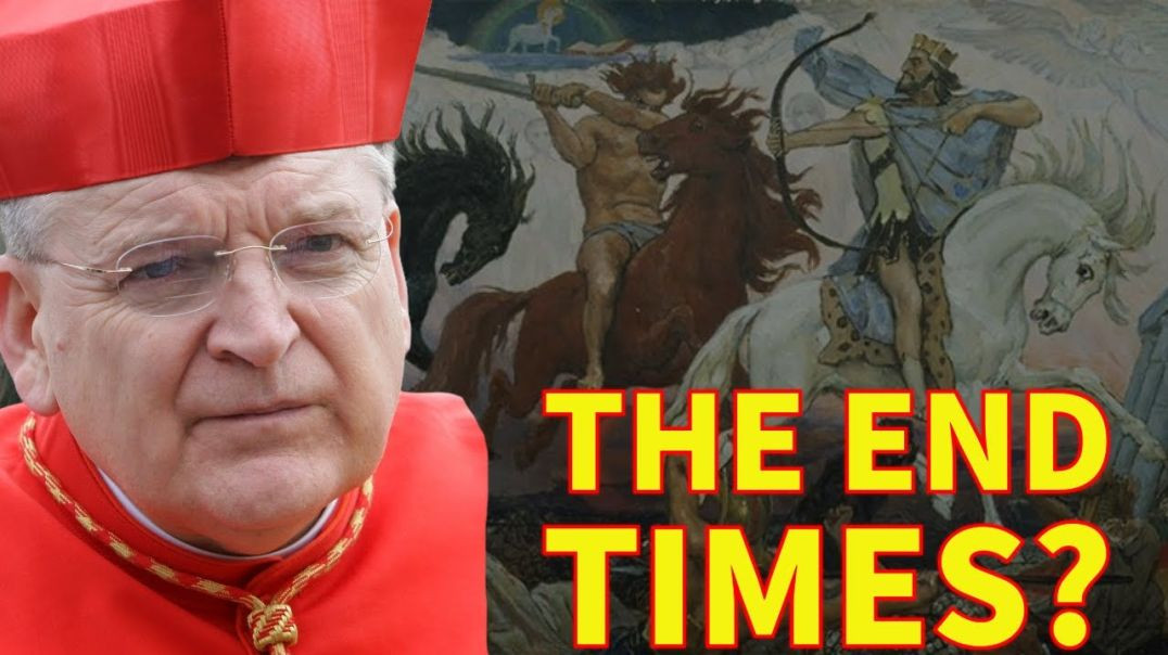 ⁣Cardinal Burke Says We Are Seemingly in the END TIMES