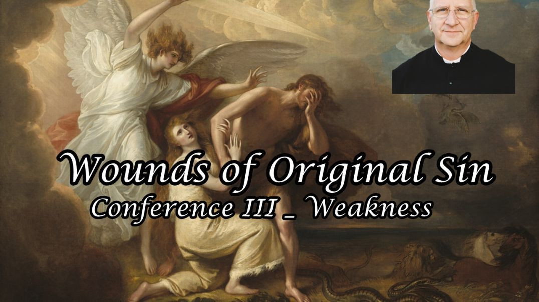 ⁣Wounds of Original Sin Conference III: Weakness ~ Fr. Ripperger