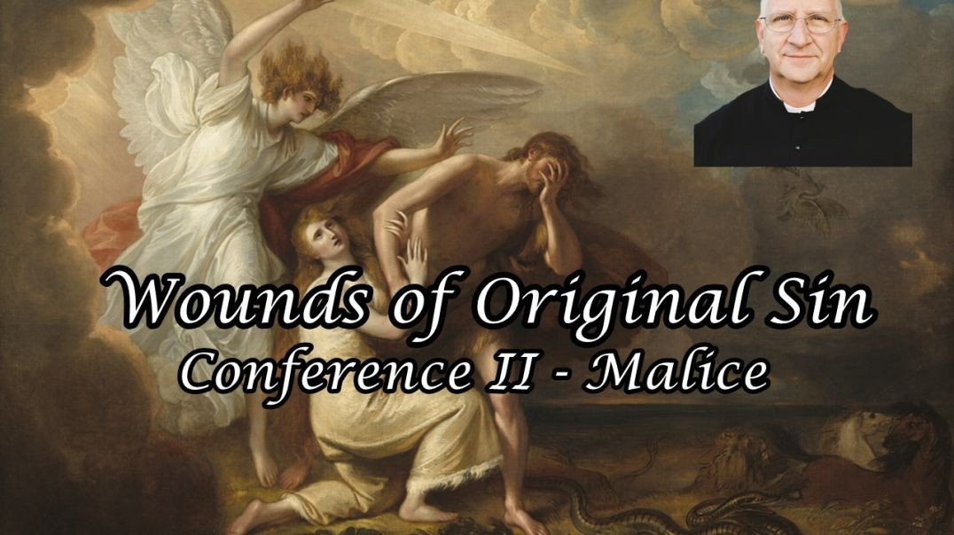 ⁣Wounds of Original Sin Conference II: Malice - Fr. Ripperger