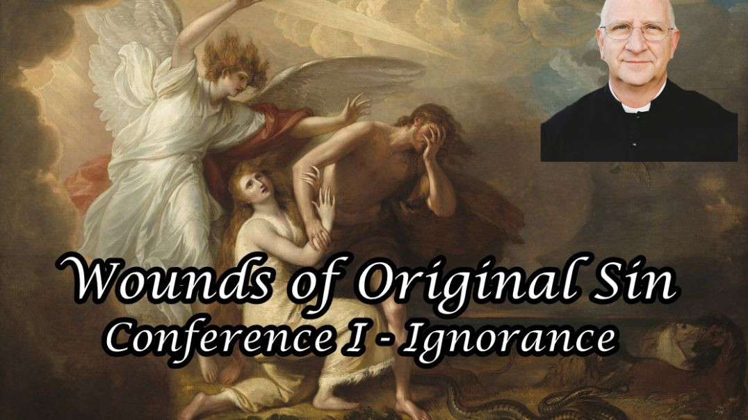 ⁣Wounds of Original Sin Conference I: Ignorance - Fr. Ripperger