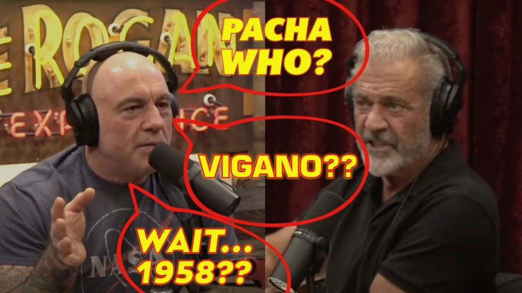 ⁣Mel Gibson and Joe Rogan Talk Pachamama, Francis, and More