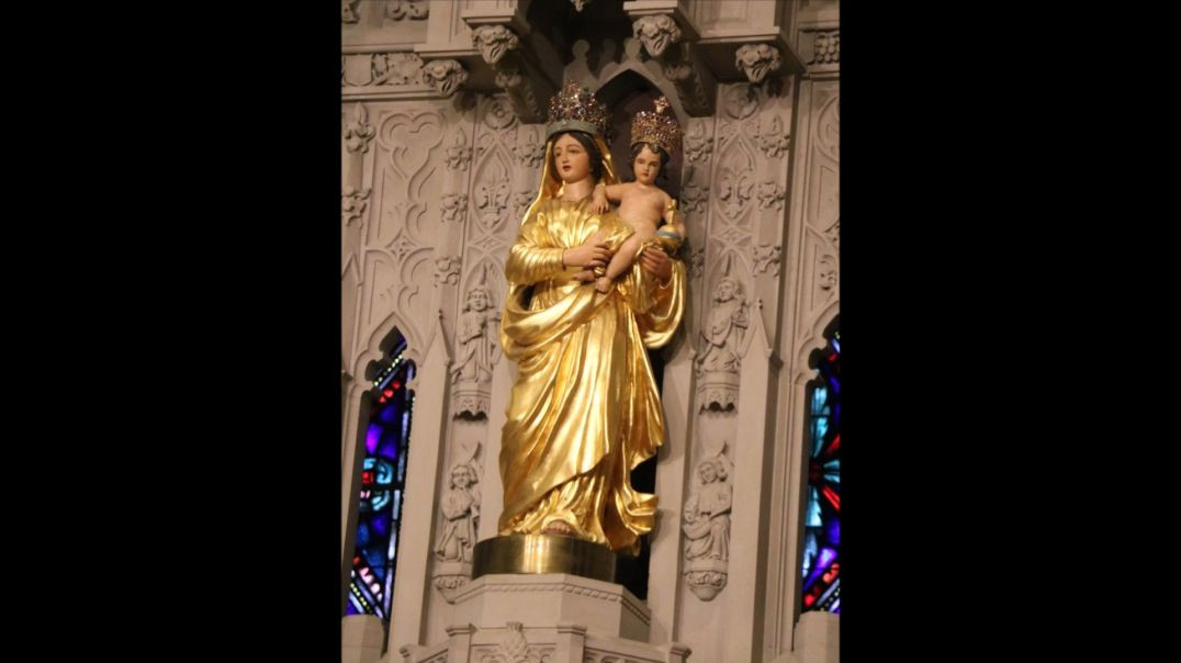 ⁣Our Lady of Prompt Succour (8 January): Battle of New Orleans